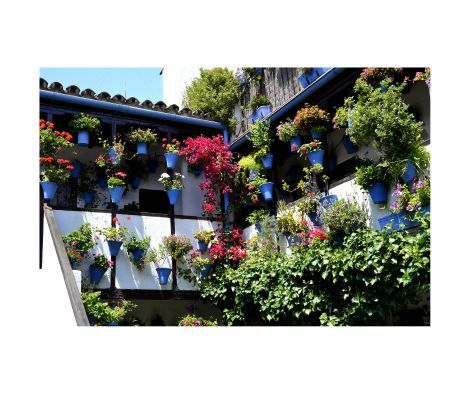 balcon-patios-de-cordoba