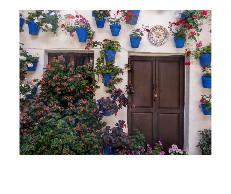 casa-los-patios-de-cordoba